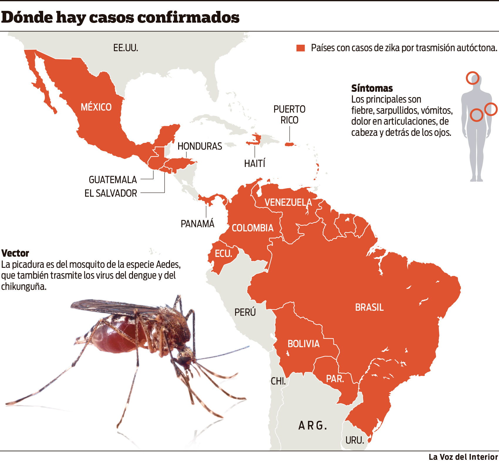 El zika amenaza a toda América latina Noticias al instante desde