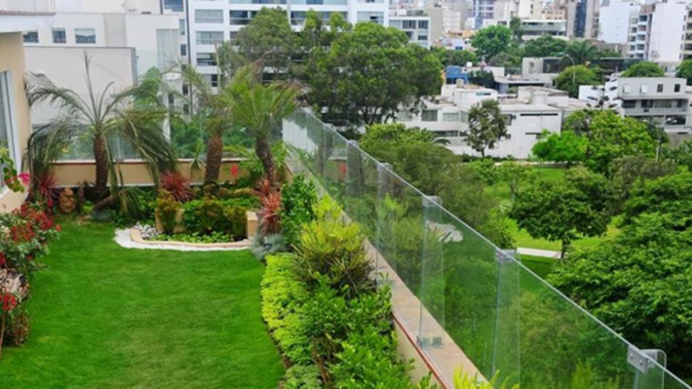Imagenes Terrazas Verdes | techos verdes colchones que guardan agua la voz del Imagenes Terrazas Verdes | techos verdes colchones que guardan agua la voz del
