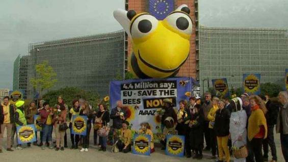 ADHESIÓN. Grupos defensores de las abejas se pronunciaron en favor de la medida europea (Foto Web)