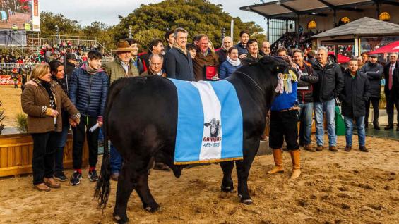 PREMIACIÓN. Los propietarios de Daroiai en Palermo, luego de ser consagrado el mejor Brangus del país. (FOTOS LA SULTANA)