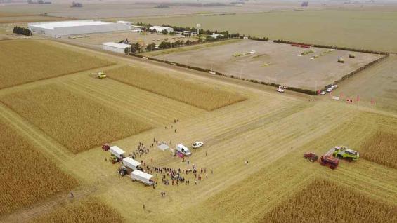 El complejo industrial de Claas en Oncativo, donde ser realizó la dinámica de cosecha. (Prensa Claas) El complejo industrial de Claas en Oncativo, donde ser realizó la dinámica de cosecha. (Prensa Claas)