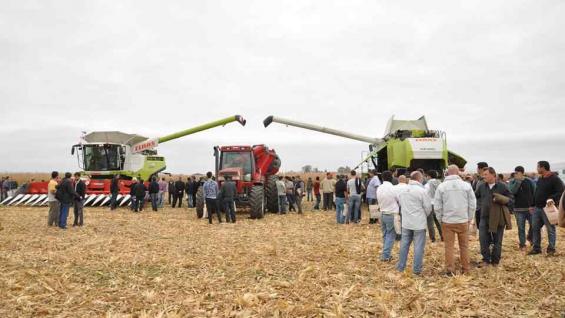 Experiencia de Cosecha en Oncativo, con la participación de cosechadoras Claas y cabezales Mainero y Allochis. Experiencia de Cosecha en Oncativo, con la participación de cosechadoras Claas y cabezales Mainero y Allochis.