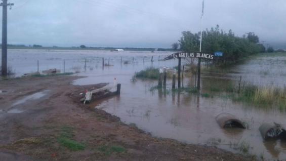 Las lluvias volvieron a afectar la producción lechera en el departamento Río Segundo (Fernando Cuadrado)