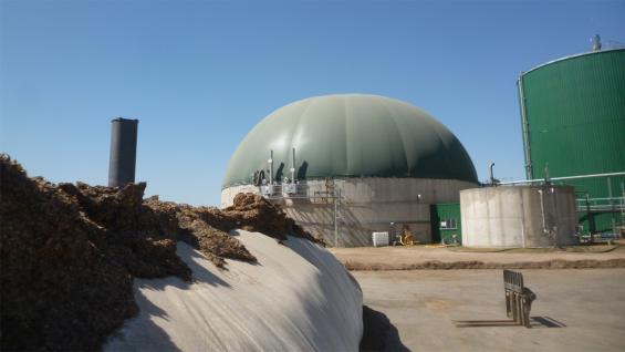SILO DE MAÍZ. El forraje alimenta los biodigestores para hacer electricidad. (LA VOZ) SILO DE MAÍZ. El forraje alimenta los biodigestores para hacer electricidad. (LA VOZ)