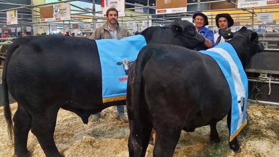 CORDOBESES CAMPEONES. Mauricio Groppo, director de La Sultana; Ramón Brítez, y Daniel Arce posan con el reservado campeón macho y la campeona hembra de la raza Brangus. (LA VOZ) CORDOBESES CAMPEONES. Mauricio Groppo, director de La Sultana; Ramón Brítez, y Daniel Arce posan con el reservado campeón macho y la campeona hembra de la raza Brangus. (LA VOZ)