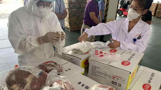 CONTROLAR.  Técnicos del servicio sanitario chino hacen hisopados de cortes vacunos específicos de Córdoba.
