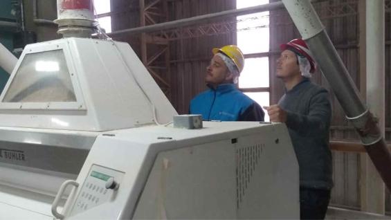 CONTROLES. El Gobierno acentúa la fiscalización en molinos harineros. (Ministerio de Agricultura y Ganadería) CONTROLES. El Gobierno acentúa la fiscalización en molinos harineros. (Ministerio de Agricultura y Ganadería)