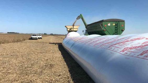 SILO. La mayoría de los productores está almacenando la producción hasta que pase la cuarentena. (Gentileza Santiago Lorenzatti)