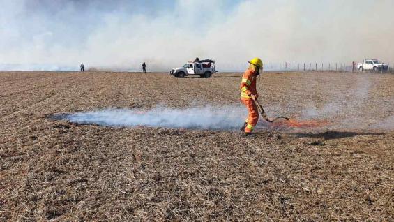 FUEGO. En campos con rastrojos quemados se reduce la productividad. (Gentileza Gabriel de Rademaeker)