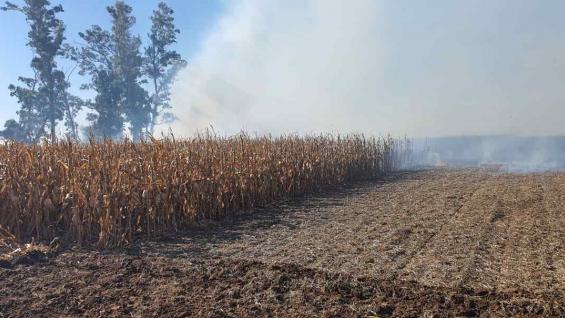 FUEGO. El incendio afectó a unas 30 hectáreas de maíz. (Gentileza Gabriel De Raedemaeker)