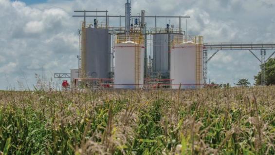 Las Minidest ya funcionan en campos de Córdoba, donde abastecen de burlanda a los feedlots. Las Minidest ya funcionan en campos de Córdoba, donde abastecen de burlanda a los feedlots.
