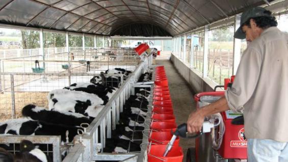 El equipo pasteurizador autopropulsado surtidor de sustituto lácteo o leche alimenta a los terneros (Gentileza Inta Manfredi) El equipo pasteurizador autopropulsado surtidor de sustituto lácteo o leche alimenta a los terneros (Gentileza Inta Manfredi)