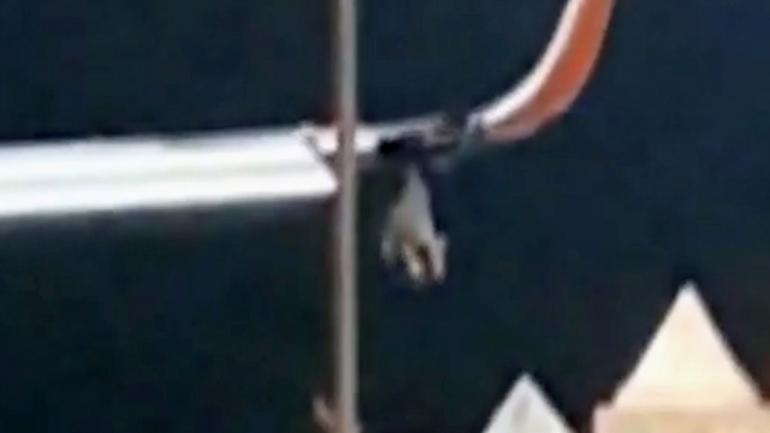 Indonesia: Lion Air atribuye nuevo accidente a error de personal en tierra Indonesia: Lion Air atribuye nuevo accidente a error de personal en tierra