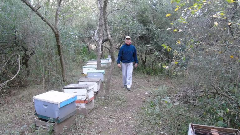 Volver a empezar. Marcelo Sosa, uno de los apicultores afectados, cerca de La Paz, al sur de Traslasierra. (La Voz)
