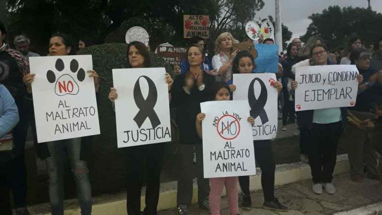 Indignante: se grabaron mientras mataban a un perro