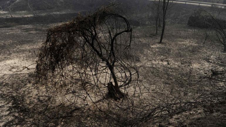 62 muertos en incontenible incendio en Portugal